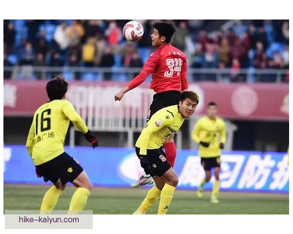 荷兰队新援表现稳健，助力球队竞争力增强